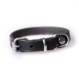 Active Canis L�derhalsb�nd - Sort