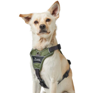 HUNTER DIVO Sele, Gr�n/Gr�