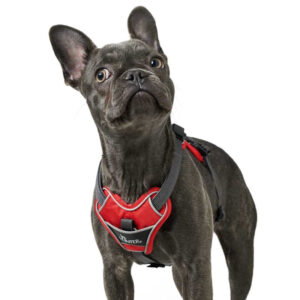 HUNTER DIVO Sele, R�d/Gr�