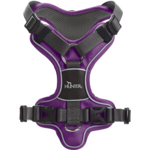 HUNTER DIVO Sele, Violet/Gr�
