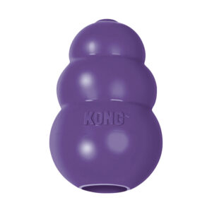 KONG Senior, large