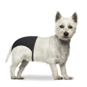 L�betidsbukser til hund