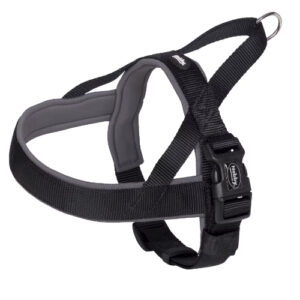 Nobby Hundesele Sort/Bl� Classic Preno
