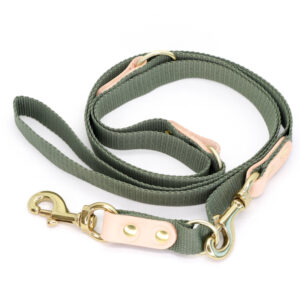 Gr�n Hundesnor med karabinhage - Dressurline 25 mm x 250 cm i webbing