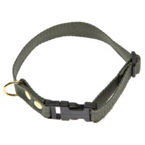 Gr�nt Halsb�nd - halsrem 20 mm x 40 cm i webbing