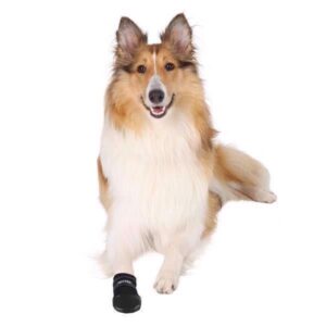 Walker Care hundest�vler, Large