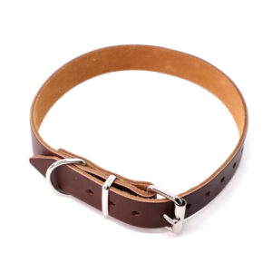 Brunt hundehalsb�nd i l�der, Halsrem 16 mm x 40 cm