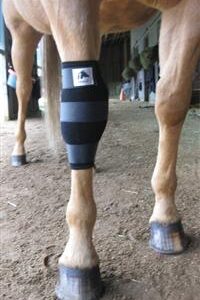 Fenwick Equestrian Liquid Titanium� kn�varmere - Par - L