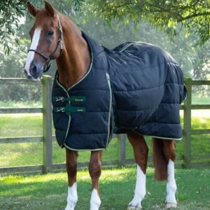 Premier Equine Lucanta Demi Stable 450g