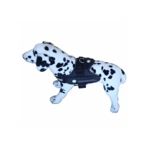 "SPORT DOG" Tr�ningssele - Lysebl�