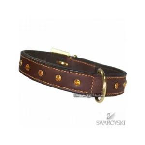 Mexico Hundehalsb�nd