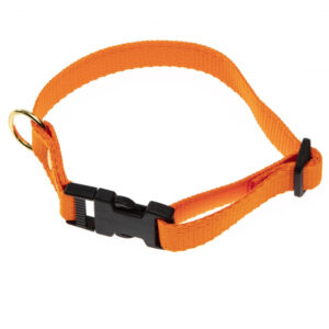 Orange Halsb�nd - halsrem 20 mm x 40 cm i webbing