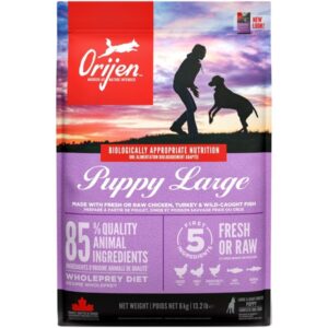 Orijen Puppy Large Breed hvalpefoder med fjerkr� og fisk, 6 kg