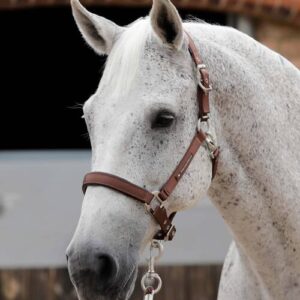 Premier Equine nylongrime med foer - Brun, Cob