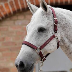 Premier Equine nylongrime med foer - Burgundy, Cob