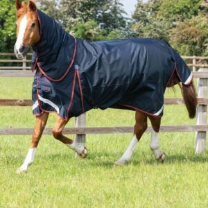 Premier Equine Buster med Classic hals - 150g