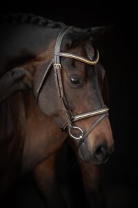 Lippo Nexon Supreme Trense - COB - SORT