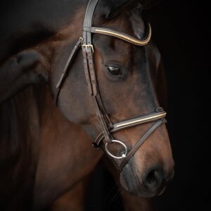 Lippo Nexon Supreme Trense - COB - BRUN