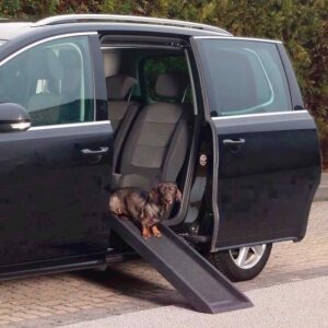 Rampe til sm� hunde