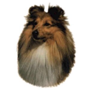 Klisterm�rke, Shetland Sheepdog