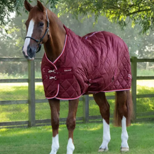 Premier Equine Tuscan 100g staldd�kken - Burgundy