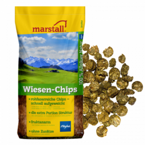 H� chips